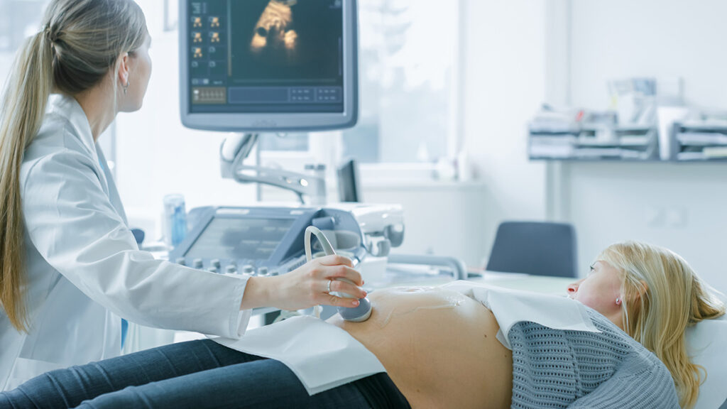 OB GYN Ultrasound Hands-On Workshop October 12, 2024, Asheville, NC ...